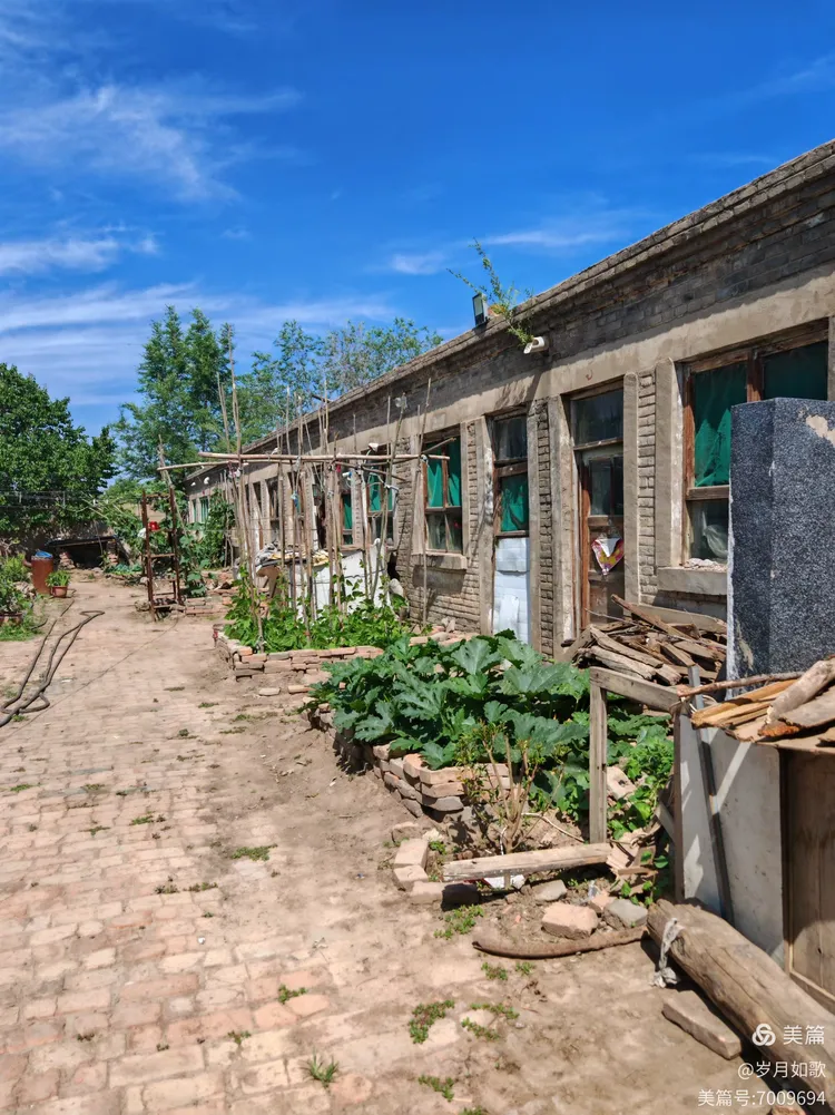 怀仁下寨农场:镌刻在岁月里的青春诗章
